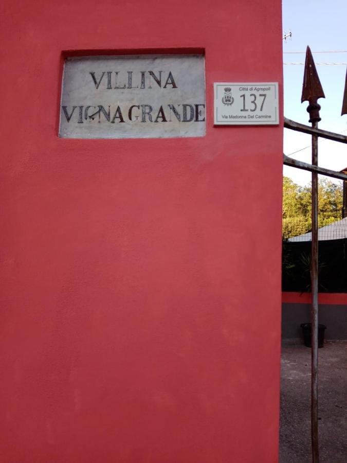 B&B Vigna Grande Agropoli Exteriör bild